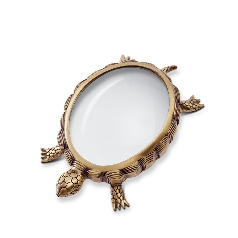 Turtle Magnifying Glass