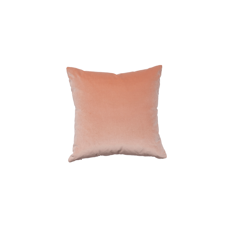Peach sales velvet pillow