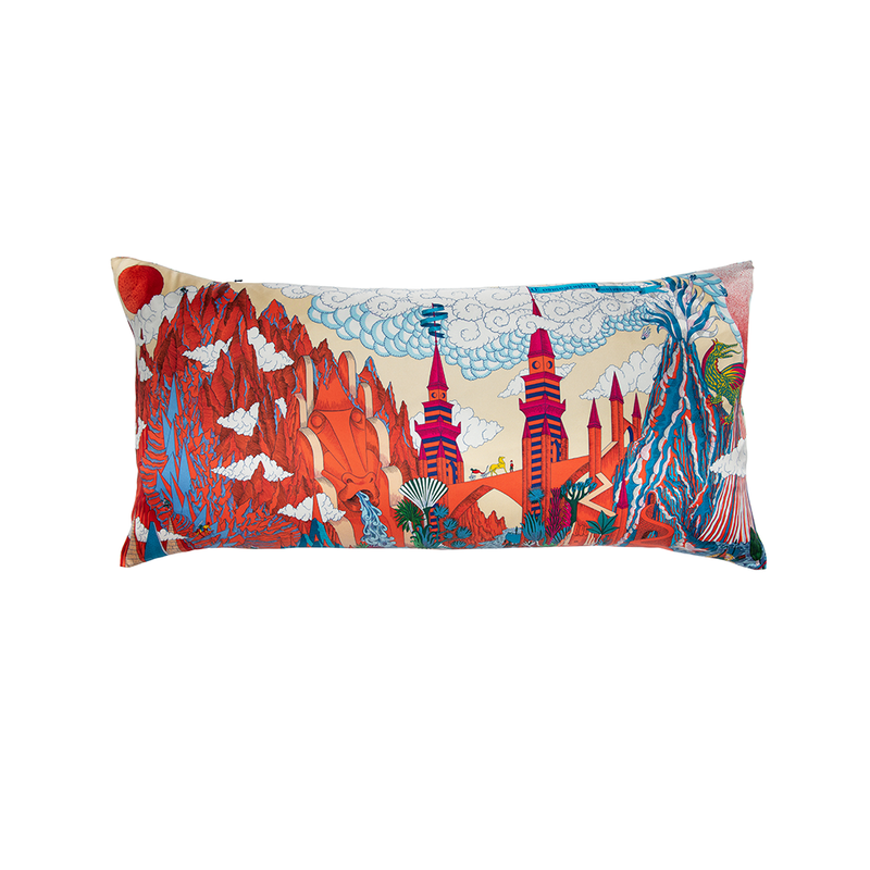 "Cosmographia Universalis" Hermès Silk Scarf Pillow